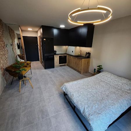 Przystan Nad Wisla Gym,Pool And Spa Free Parking Kraków Zewnętrze zdjęcie